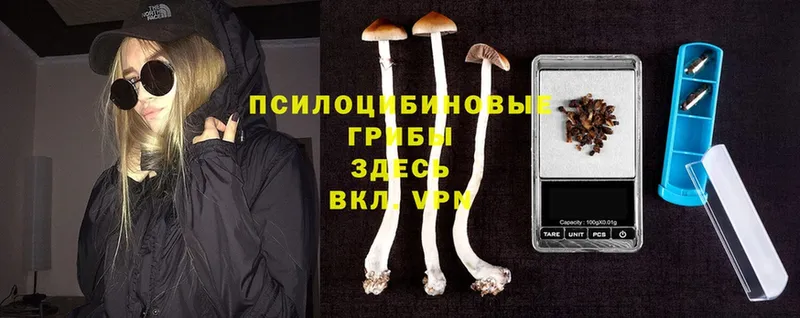 Галлюциногенные грибы MAGIC MUSHROOMS  дарнет шоп  Белорецк 